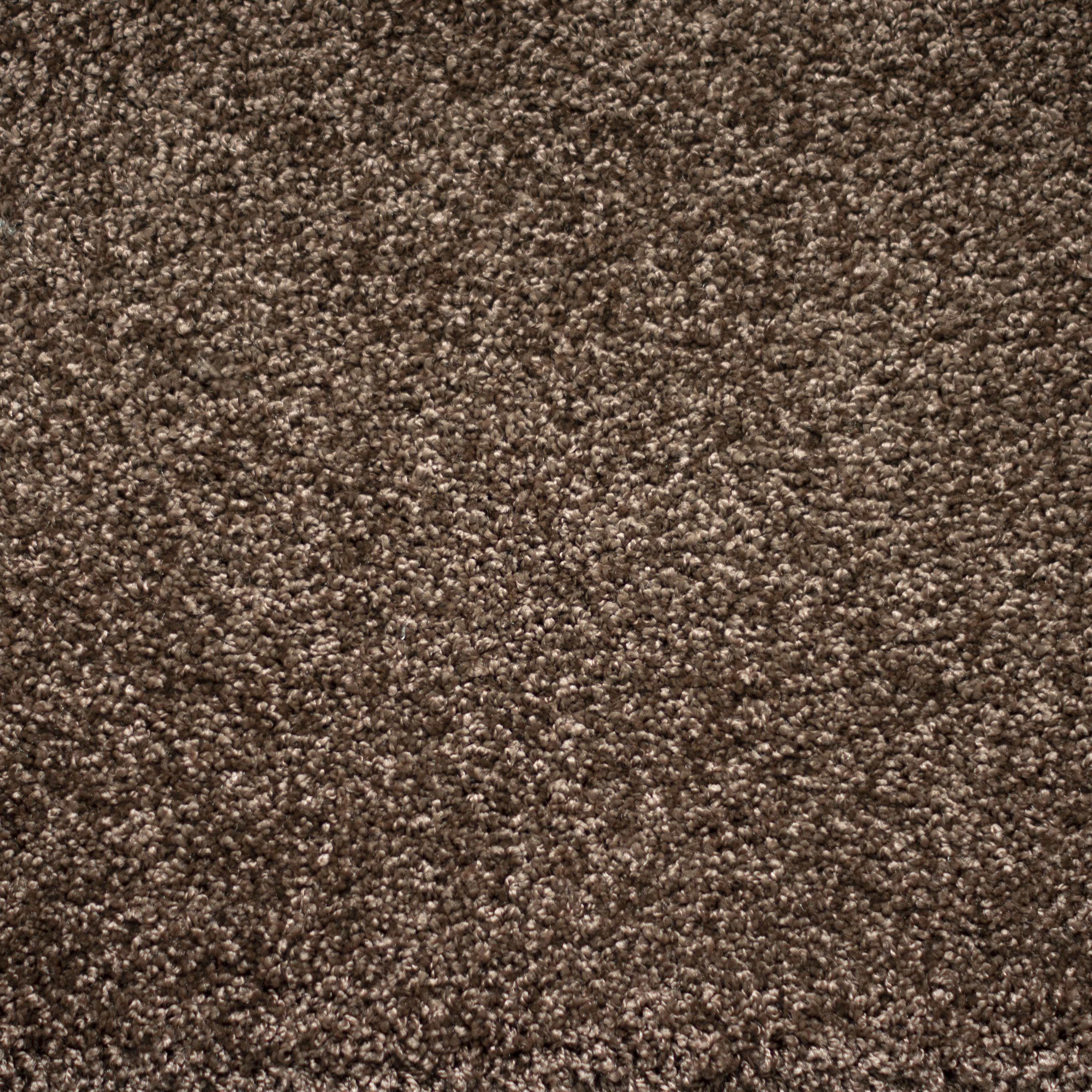 Ковролин "Зартекс" Tesoro 156 коричневый (4м) — купить в Набережных Челнах