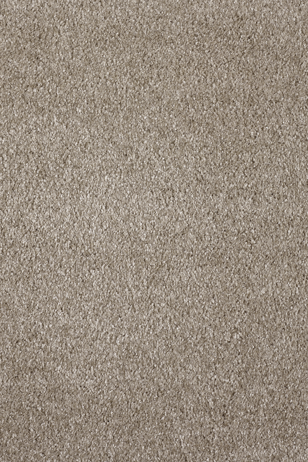 Ковровое покрытие "Bonkeel" Parana 34 (ширина 4м/5м) — купить в Набережных Челнах