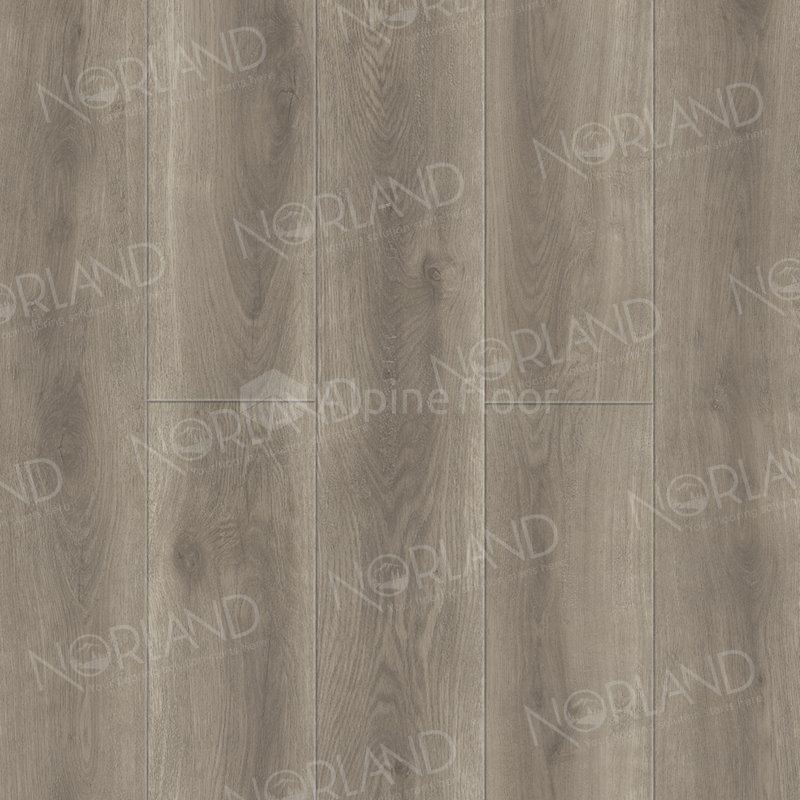 SPC Ламинат "Norland" Templet (1220*196*8 мм) — купить в Набережных Челнах