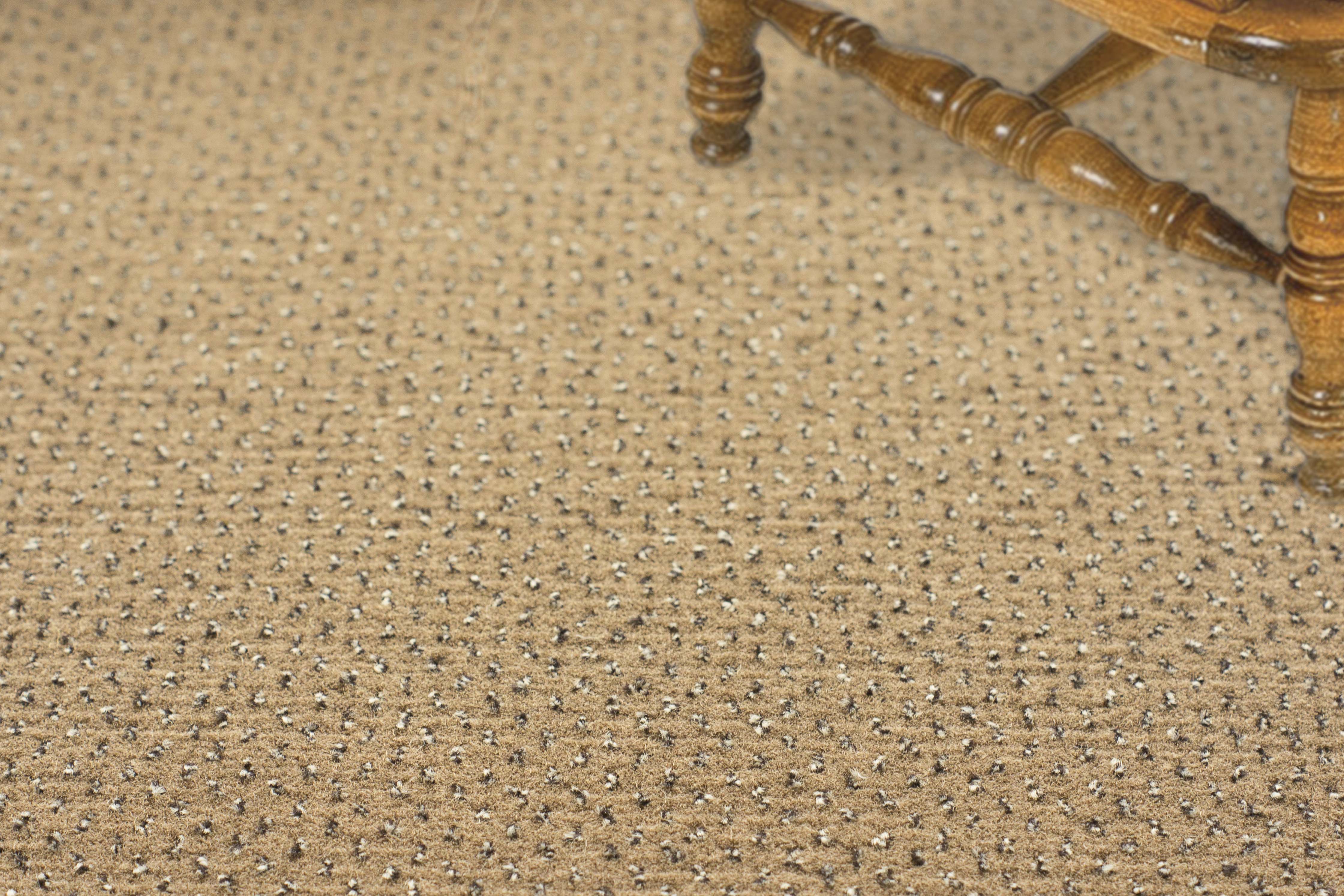 Ковролин "Зартекс" Eternity 142 бежевый (4м) — купить в Набережных Челнах