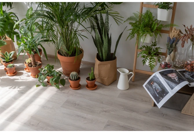 SPC ламинат Дуб Ален (1220*181*3,7 мм) — купить в Набережных Челнах